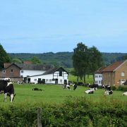 Gulpen-Wittem - Vakantie in Limburg
