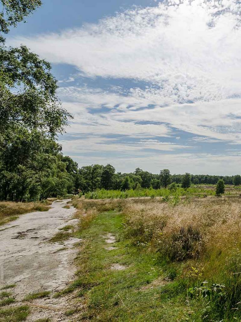 Nationaal Park De Maasduinen - Vakantie in Limburg