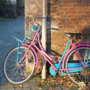 Steeds meer toeristen op de fiets in Limburg - Vakantie in Limburg