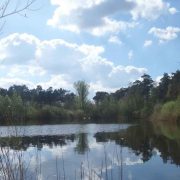 Ijzeren Man - Weert - Vakantie in Limburg