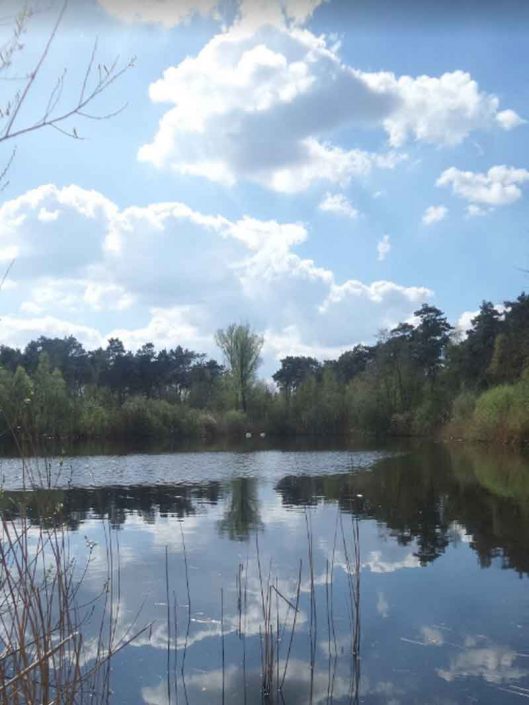 Ijzeren Man - Weert - Vakantie in Limburg