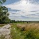 Mooie nieuwe natuurwandelingen in Zuid-Limburg