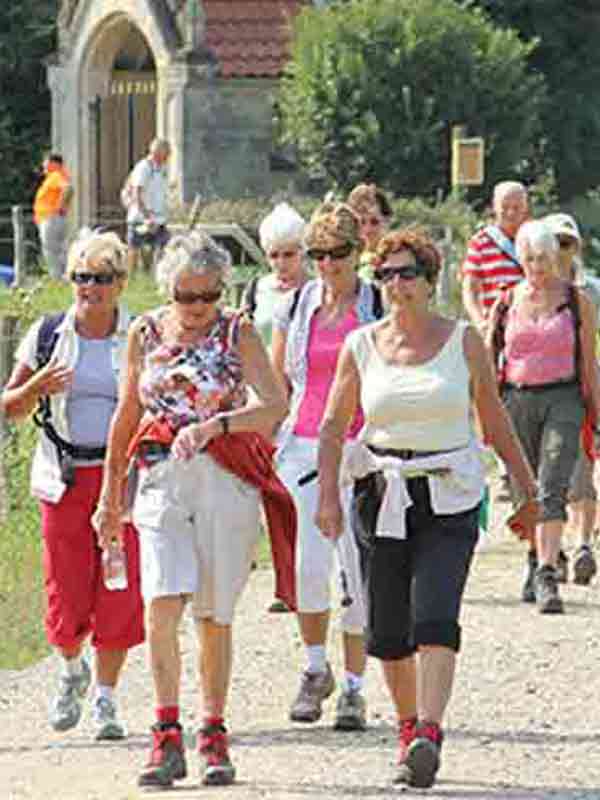 Heuvelland Wandel4daagse - Vakantie in Limburg