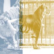 Fotografie expositie "Tijdsbeeld" - Vakantie in Limburg