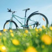 Fietsroutes Provincie Limburg bekroond met 4½ ster